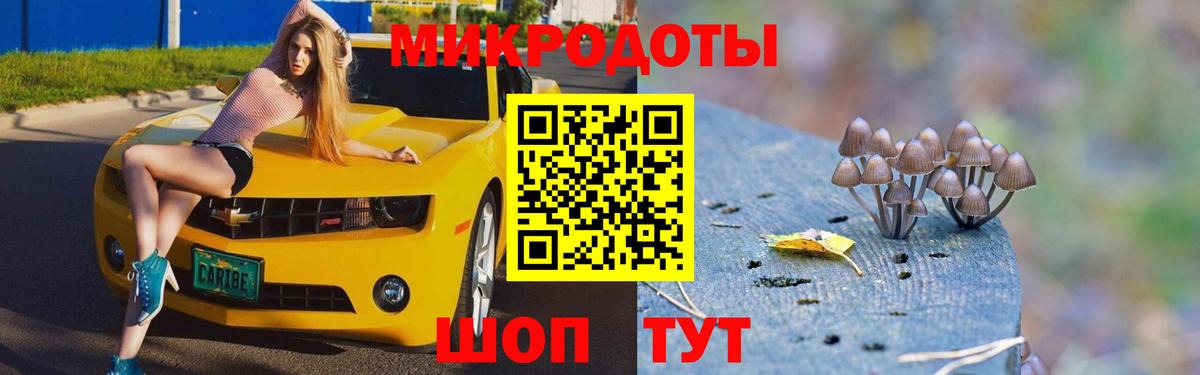 Псилоцибиновые грибы прущие грибы  Галлюциногенные грибы Psilocybine cubensis  Вход с VPN  Нарткала 